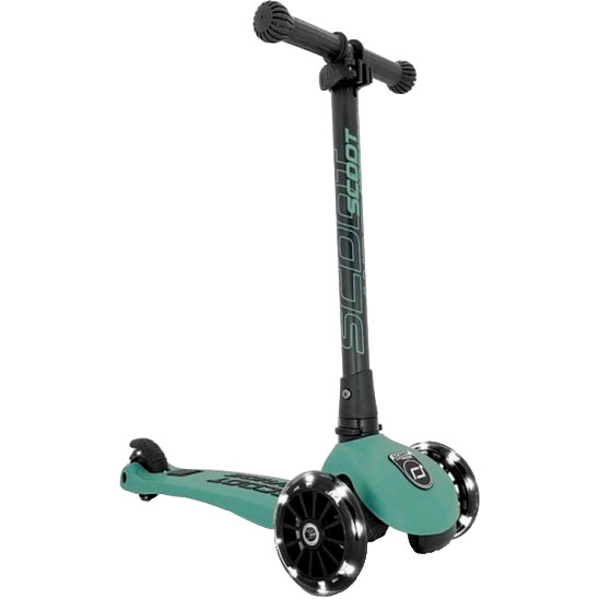Самокат SCOOT&RIDE Highwaykick-3 серо-зеленый (SR-96345), Самокат Highwaykick-3 серо-зеленый
Самокат SCOOT&RIDE Highwaykick-3 серо-зеленый (SR-96345), Самокат Highwaykick-3 серо-зеленый