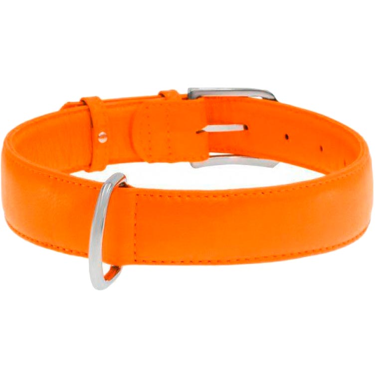 Ошейник WAUDOG Glamour Ш 35 мм, Дл 46-60 см Orange (33224), Нашийник Glamour з QR пасп., без прикрас, Ш 35 мм,
Ошейник WAUDOG Glamour Ш 35 мм, Дл 46-60 см Orange (33224), Нашийник Glamour з QR пасп., без прикрас, Ш 35 мм,