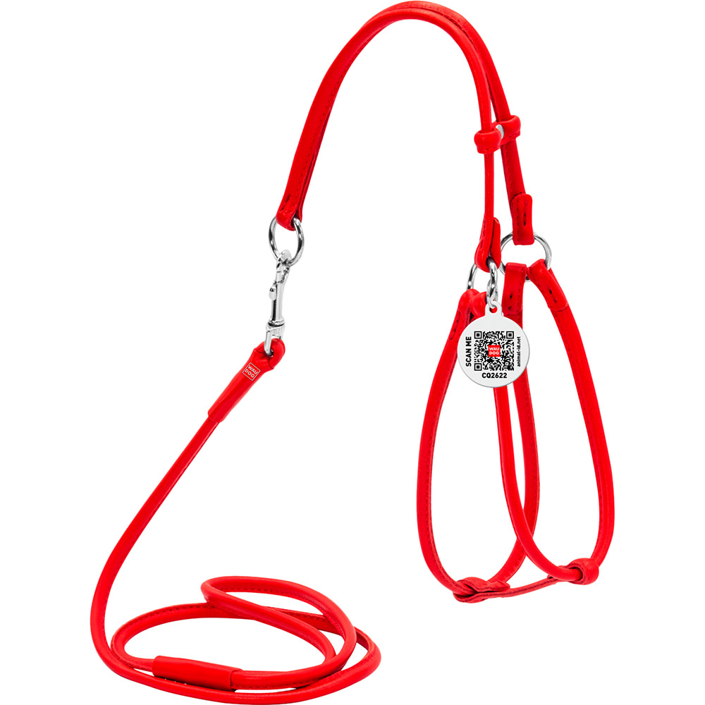Шлея для собак и кошек WAUDOG Glamour с поводком и QR 6 мм 90 см 42-60/46-64 см Red (34023), Шлея з повідцем Glamour з QR пасп., кругла, Д 6 мм
Шлея для собак и кошек WAUDOG Glamour с поводком и QR 6 мм 90 см 42-60/46-64 см Red (34023), Шлея з повідцем Glamour з QR пасп., кругла, Д 6 мм