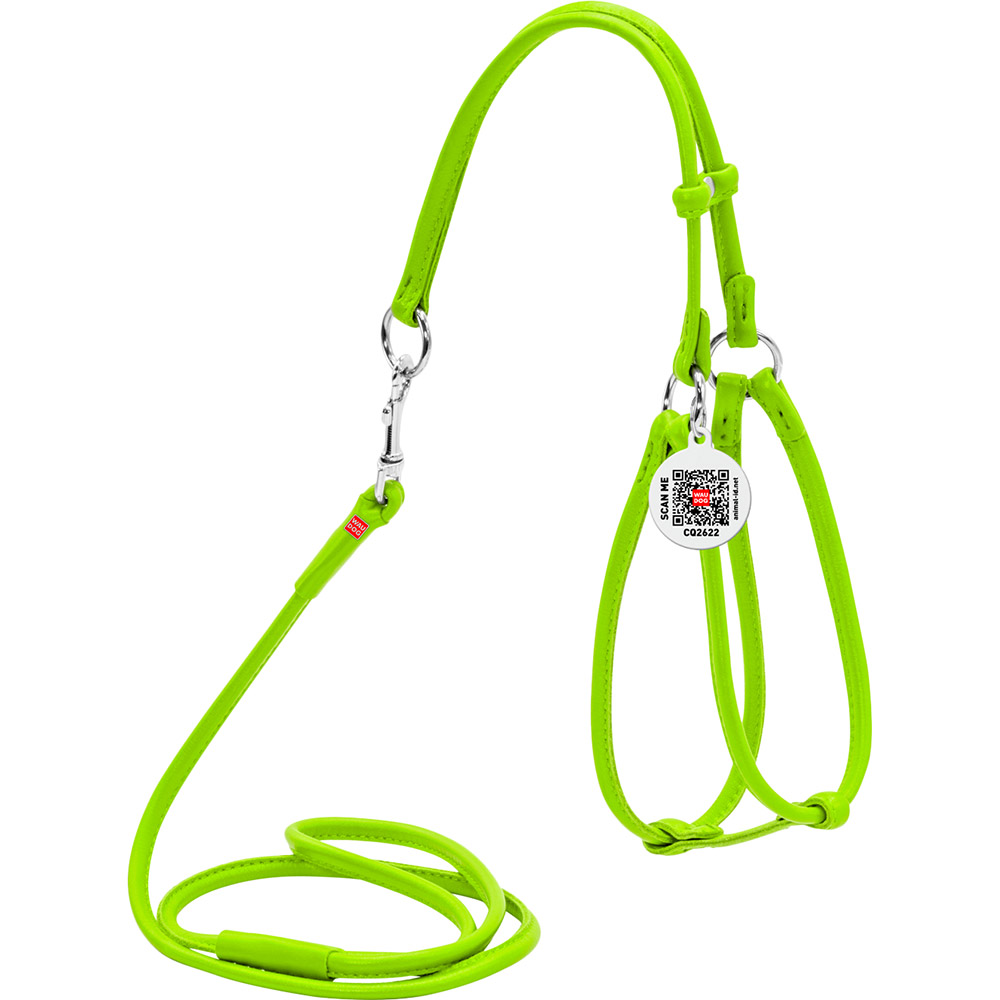 Шлея для собак и кошек WAUDOG Glamour с поводком и QR 6 мм 90 см 42-60/46-64 см Green (34025), Шлея з повідцем Glamour з QR, кругла, Д 6 мм
Шлея для собак и кошек WAUDOG Glamour с поводком и QR 6 мм 90 см 42-60/46-64 см Green (34025), Шлея з повідцем Glamour з QR, кругла, Д 6 мм