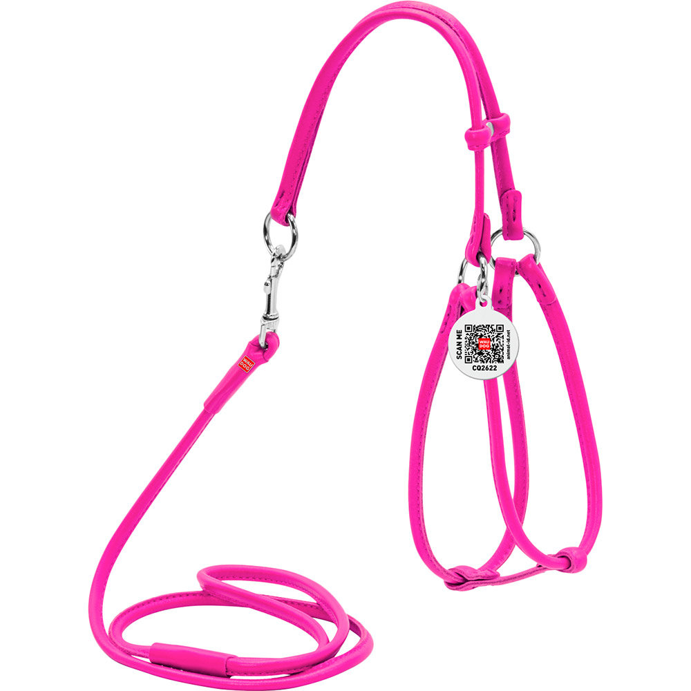 Шлея для собак и кошек WAUDOG Glamour с поводком и QR 6 мм 90 см 42-60/46-64 см Pink (34027), Шлея з повідцем Glamour з QR пасп., кругла, Д 6 мм
Шлея для собак и кошек WAUDOG Glamour с поводком и QR 6 мм 90 см 42-60/46-64 см Pink (34027), Шлея з повідцем Glamour з QR пасп., кругла, Д 6 мм