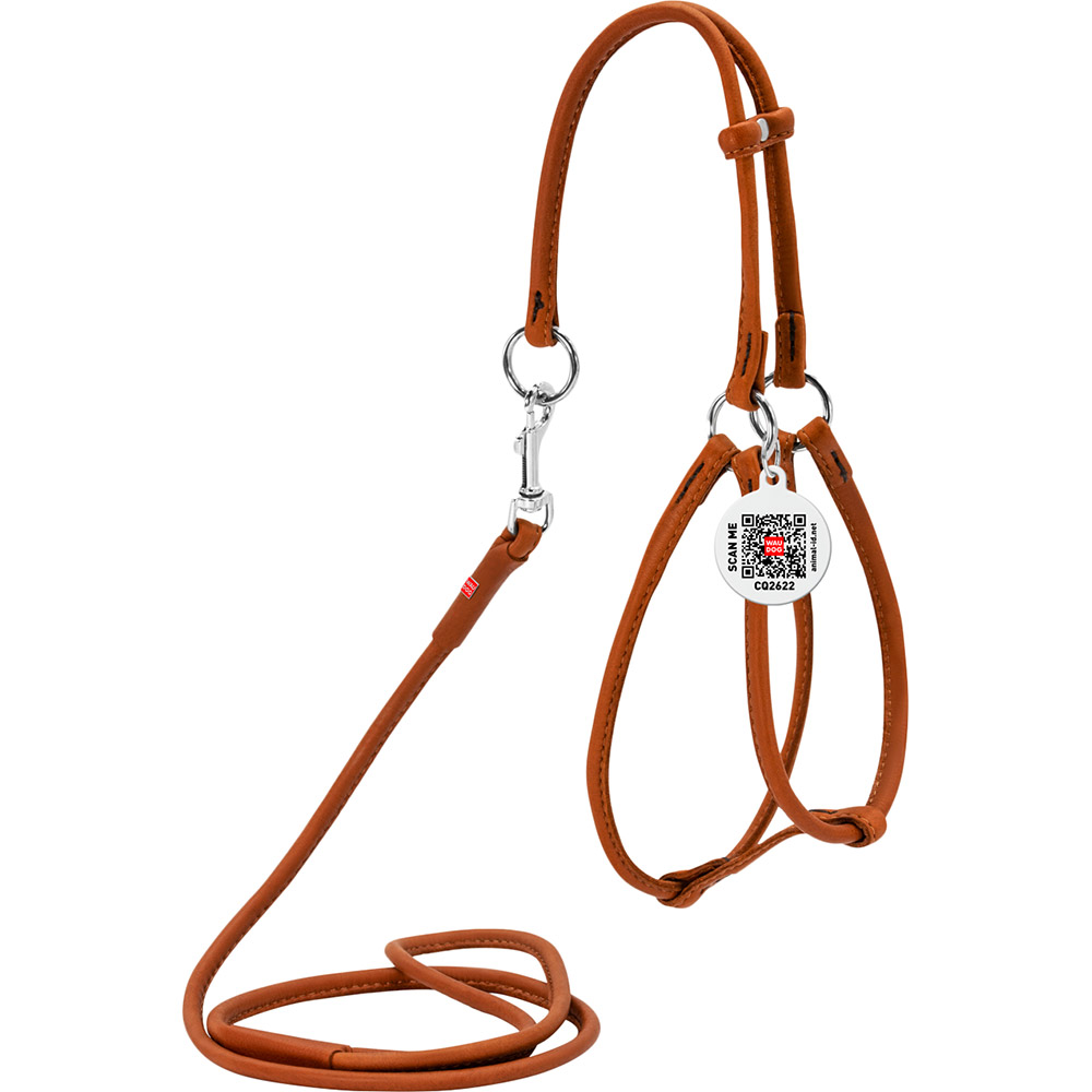Шлея для собак и кошек WAUDOG Soft с поводком и QR 6 мм 90 см 42-60/46-64 см Brown (46206), Шлея з повідцем Soft з QR пасп., кругла, Д 6 мм, А
Шлея для собак и кошек WAUDOG Soft с поводком и QR 6 мм 90 см 42-60/46-64 см Brown (46206), Шлея з повідцем Soft з QR пасп., кругла, Д 6 мм, А