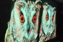 Проектор ACER PD1520s FHD (MR.JY611.001) отзыв 2