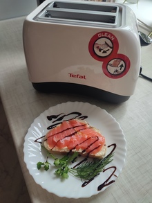 Тостер TEFAL TT130130 отзыв 3