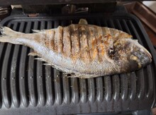 Гриль TEFAL OptiGrill Elite GC750D30 відгук 1