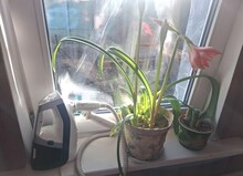 Пылесос ROWENTA RY8561WH отзыв 1