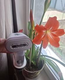 Відпарювач TEFAL DT8720E0 відгук 1