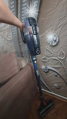 Пылесос ROWENTA X-Force Flex 12.60 Auto Aqua RH98C0WO отзыв 1