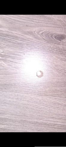 Моющий аккумуляторный пылесос Rowenta X-CLEAN 10 GZ7035WO отзыв 3