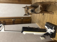 Пилосос KARCHER FCV 4 (1.056-131.0) відгук 1