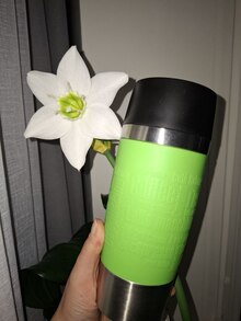 Термокружка TEFAL TRAVEL MUG 0.36 л лайм (K3083114) отзыв 1