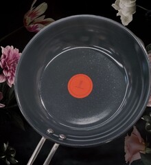 Сковорода TEFAL Nordica 20 см Silver (H8710255) відгук 1