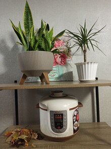 Мультиварка-скороварка MOULINEX CE501134 отзыв 1