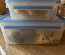 Набор контейнеров Tefal Master Seal 5 шт (K3029012) отзыв 1