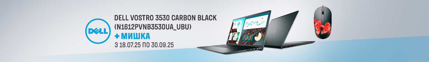 20250718_20250930_it_laptop_dell_vostro