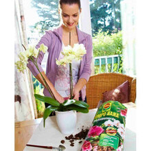 Торфосуміш Compo для орхідей 5 л (1611)