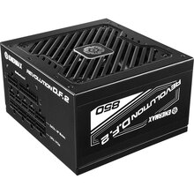 Блок живлення ENERMAX REVOLUTION D.F.2 850W