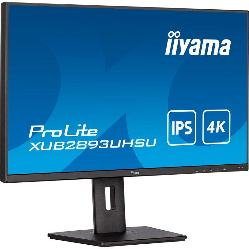 Заказать Монитор IIYAMA XUB2893UHSU-B5