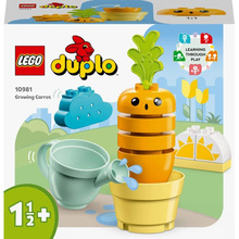 Конструктор LEGO DUPLO My First Морковь на грядке 11 деталей (10981)