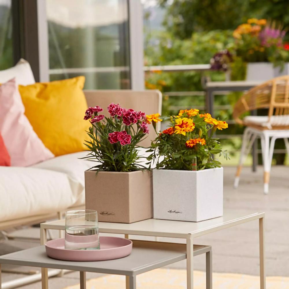 Зображення Кашпо LECHUZA CANTO Stone 14 Сірий камінь (13470)