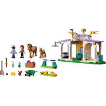 Конструктор LEGO Friends Тренировка лошади 134 деталей (41746)