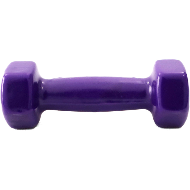 Гантель X-TREME 2,5 кг Purple 1шт (117245) Колір фіолетовий