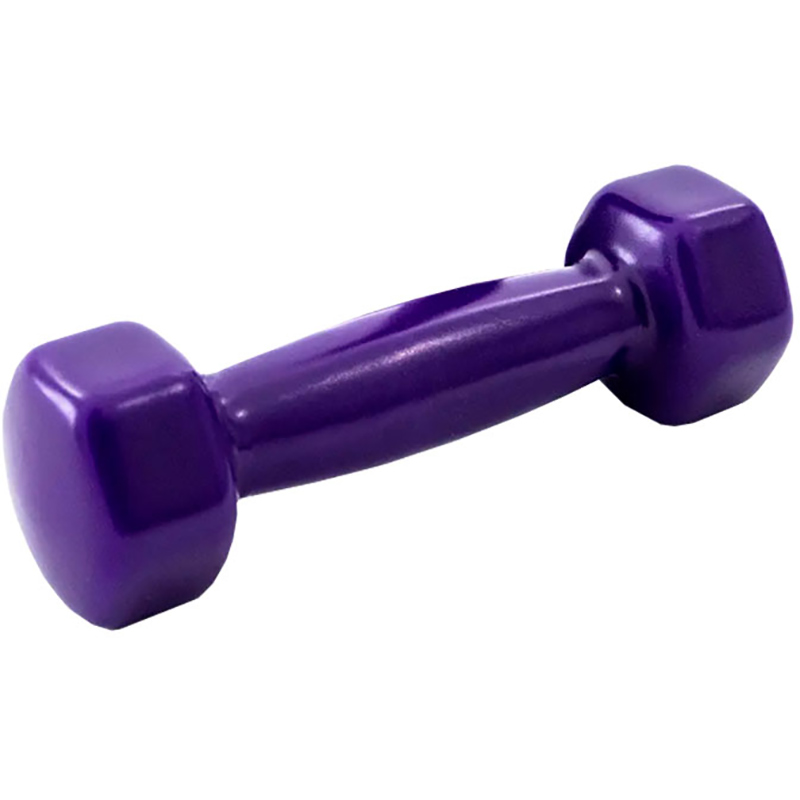 Гантель X-TREME 2,5 кг Purple 1шт (117245)