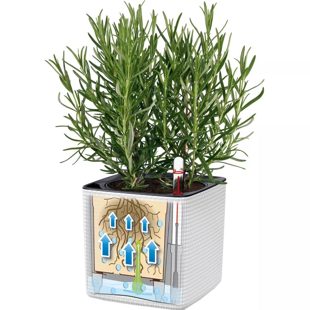 Кашпо LECHUZA CUBE Color 14 Белый (13380) Размеры 14 х 14 х 13,5