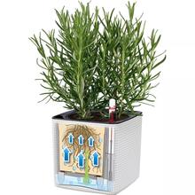 Кашпо LECHUZA CUBE Color 14 Белый (13380)