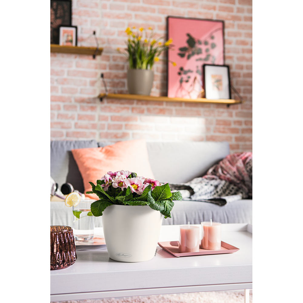 Зовнішній вигляд Кашпо LECHUZA Classico Color 21 White (13170)