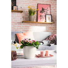 Кашпо LECHUZA Classico Color 21 White (13170)