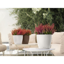 Кашпо LECHUZA Classico Color 21 White (13170)