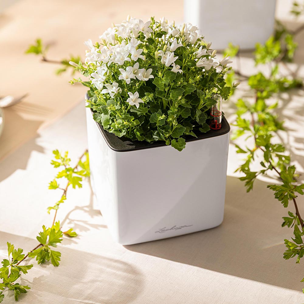 Фото 4 Кашпо LECHUZA Cube Glossy 14 White (13510)