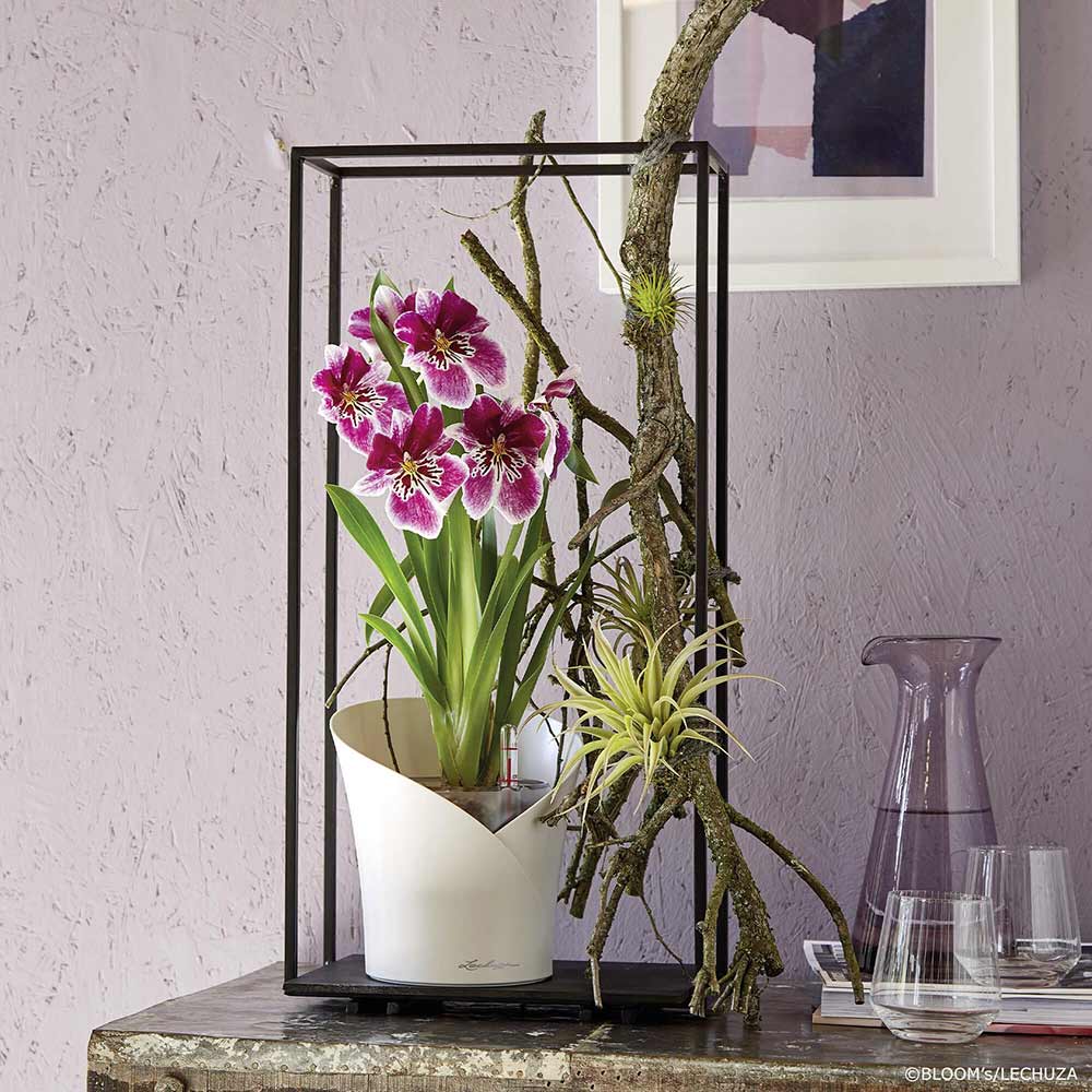 Кашпо LECHUZA Orchidea 20 White (13960) Размеры Ø18 х 20