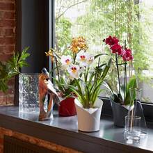 Кашпо LECHUZA Orchidea 20 White (13960)