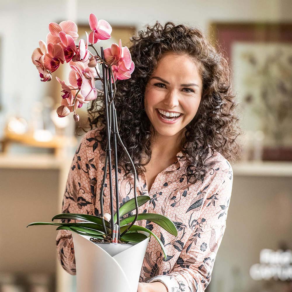 Внешний вид Кашпо LECHUZA Orchidea 20 White (13960)