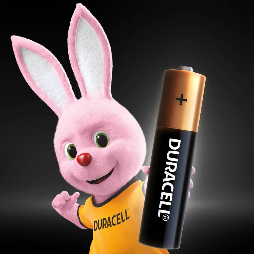 Внешний вид Щелочные батарейки Duracell AAA 2 шт (81545417)