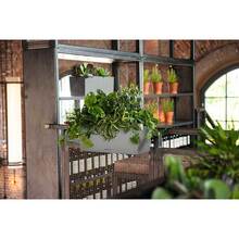 Кашпо LECHUZA Balconera Stone 50 Gray (15650)
