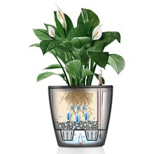 Кашпо LECHUZA Classico Premium LS 35 White (16060)
