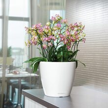 Кашпо LECHUZA Classico Premium LS 35 White (16060)