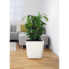 Кашпо LECHUZA Quadro Premium LS 50 White (16280)
