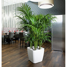 Кашпо LECHUZA Quadro Premium LS 50 White (16280)