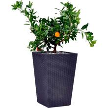 Горшок для растений Keter Medium Rattan Planter 55.4 л Gray (7290103659288)