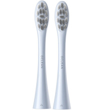 Насадки OCLEAN P1C9 Plaque Control Brush Head Silver 2 шт (6970810552812)