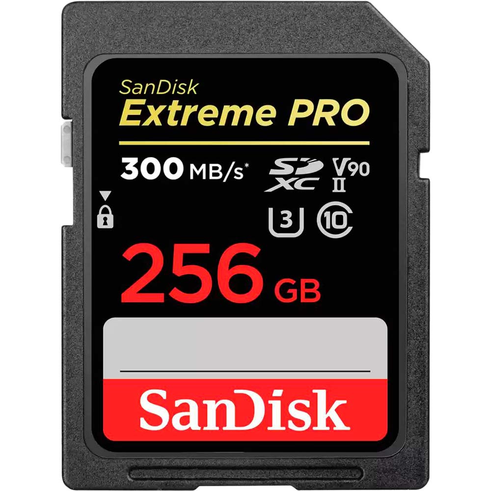 Карта памяти SanDisk Extreme PRO SDXC 256GB UHS-II (SDSDXDK-256G-GN4IN)