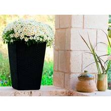 Горшок для растений Keter Medium Rattan Planter 55.4 л Gray (7290103659288)