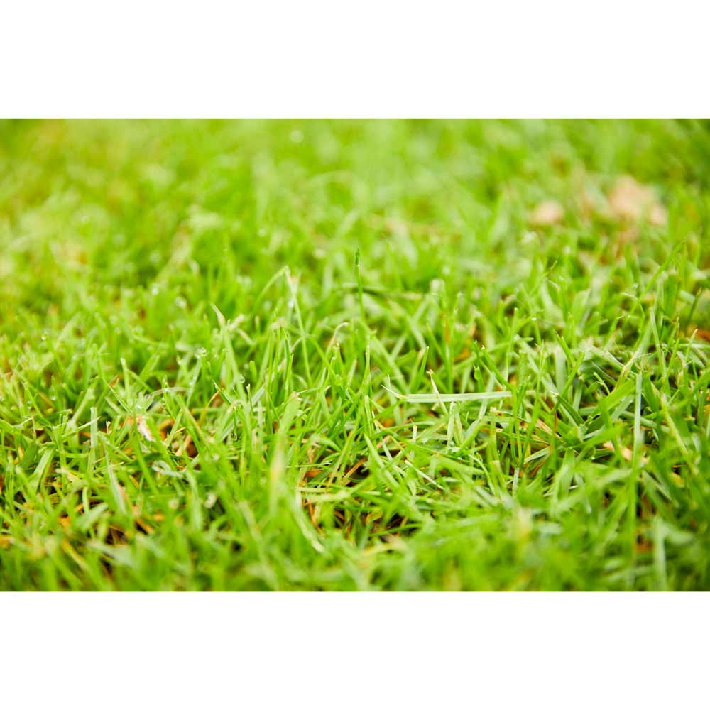 Добриво для газонів 2 кг (5283) Тип добрива