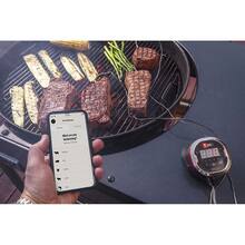 Термометр цифровой Weber iGrill 2 (7221)