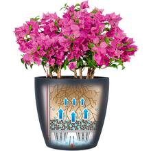 Кашпо Lechuza CLASSICO Color 60 Серый (13334)