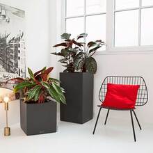 Кашпо Lechuza Canto Stone High 40 графитово-черный (13622)